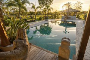 Pool mit Palmen während Sonnenuntergangs